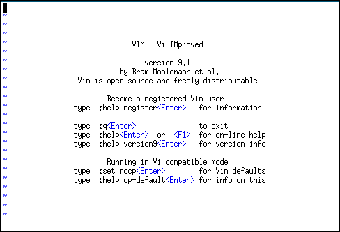 vim start screen